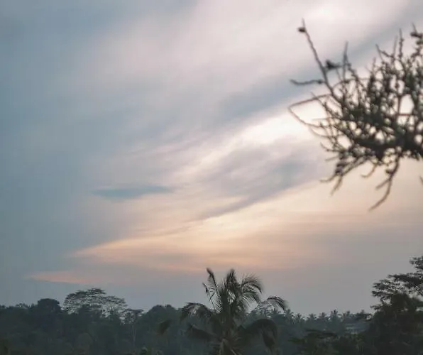 Pondok Kelapa Hidden Hill بيت ضيافة بيانغان